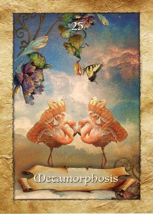 Metamorfose