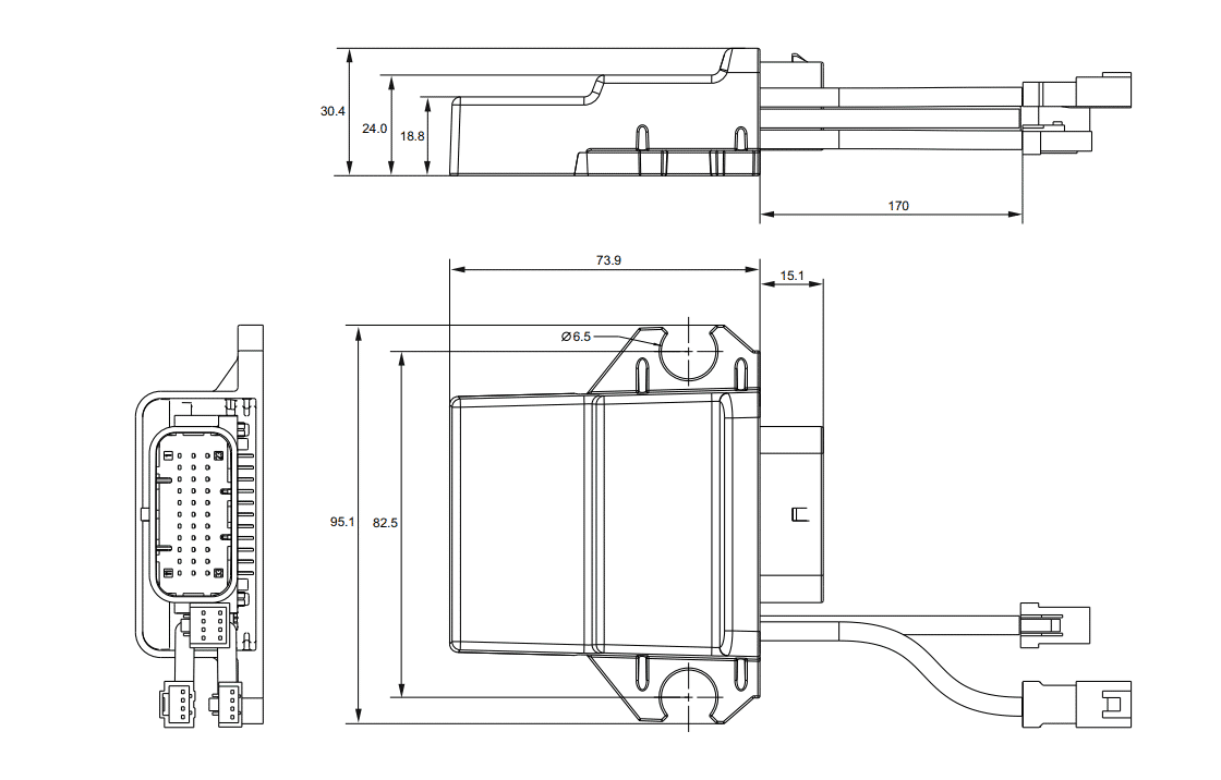 taipan Y technical drawing