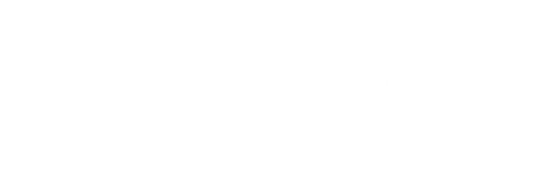memory module logo