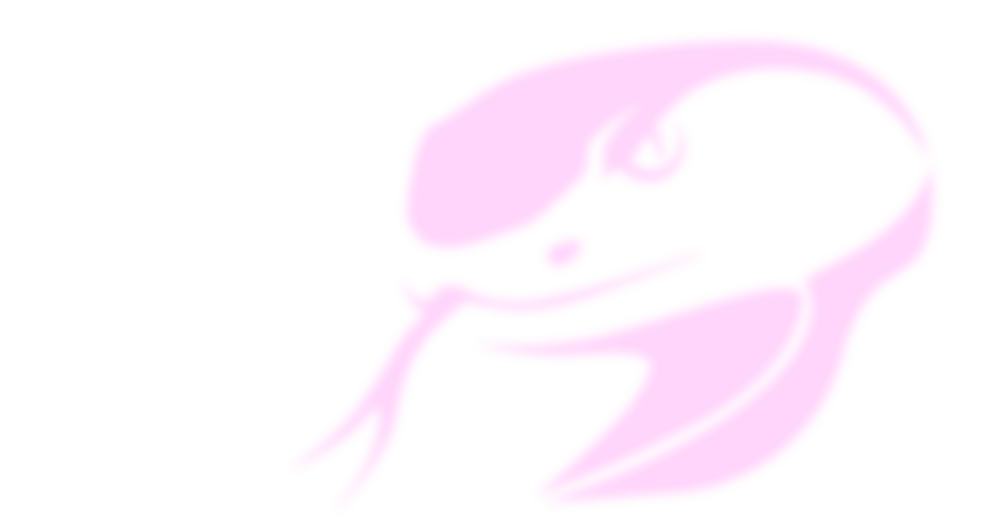 yarara background