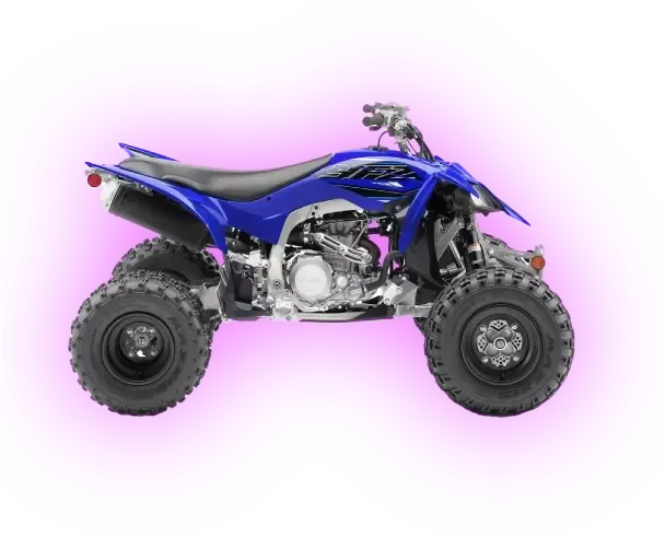 Yarara in a vehicle