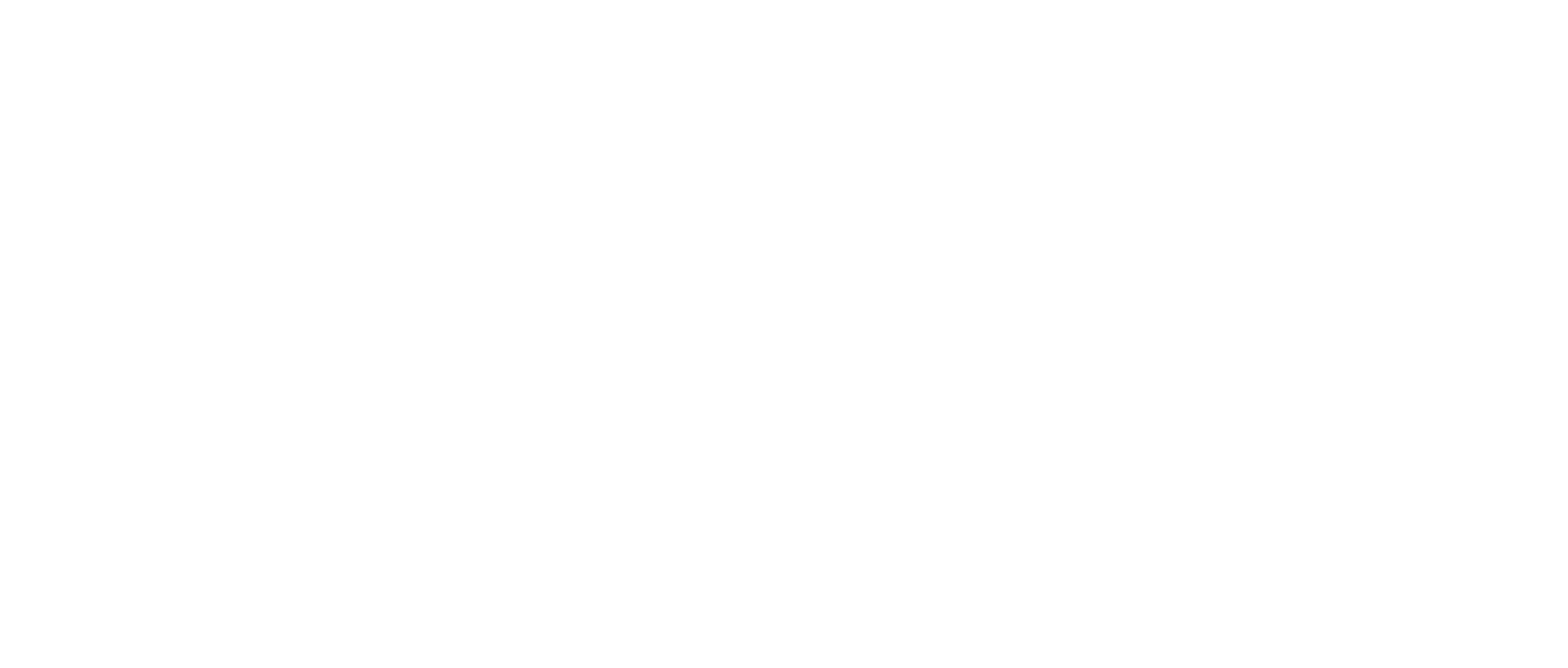 aim logo