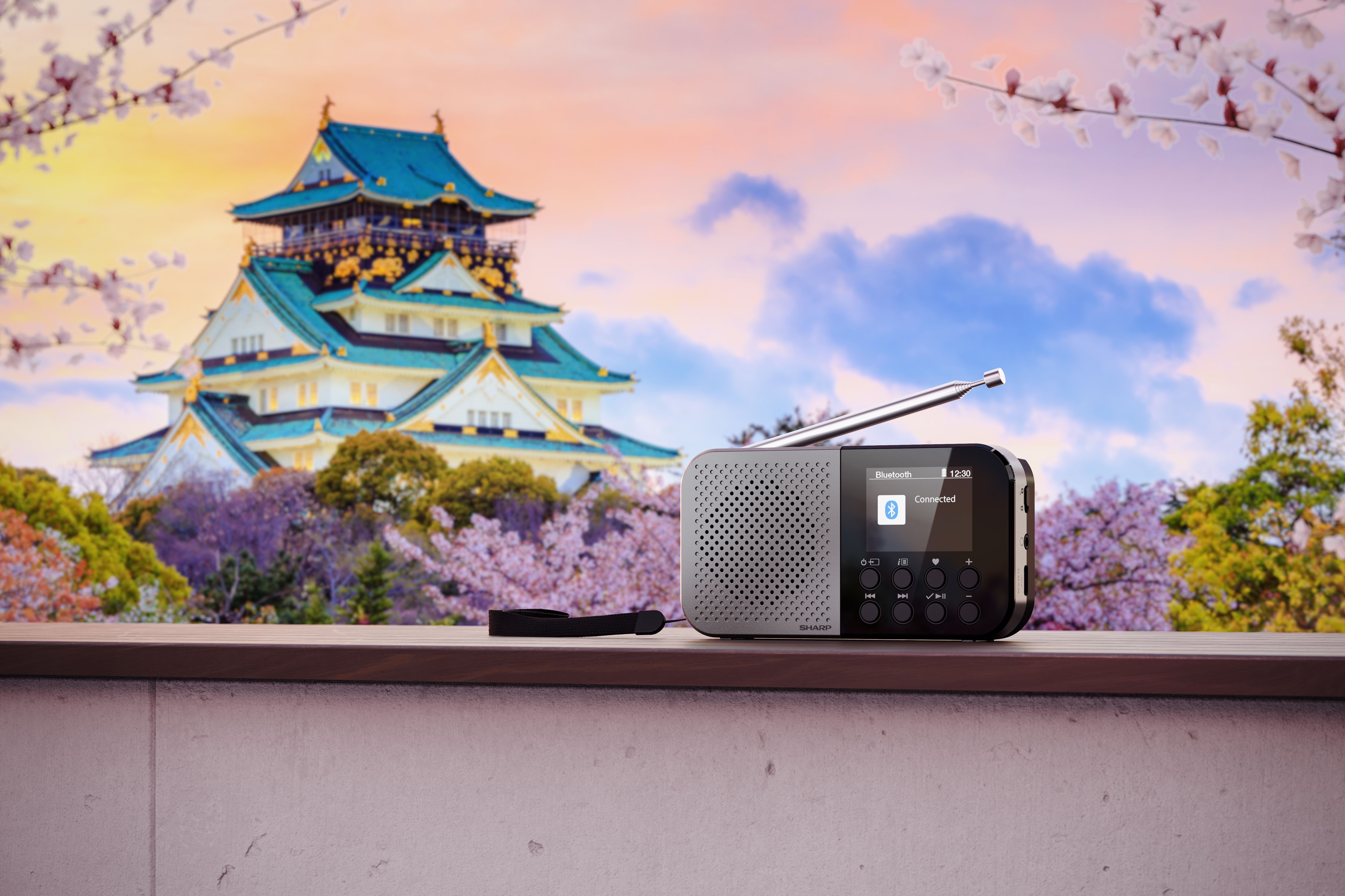 SHARP DR-P520