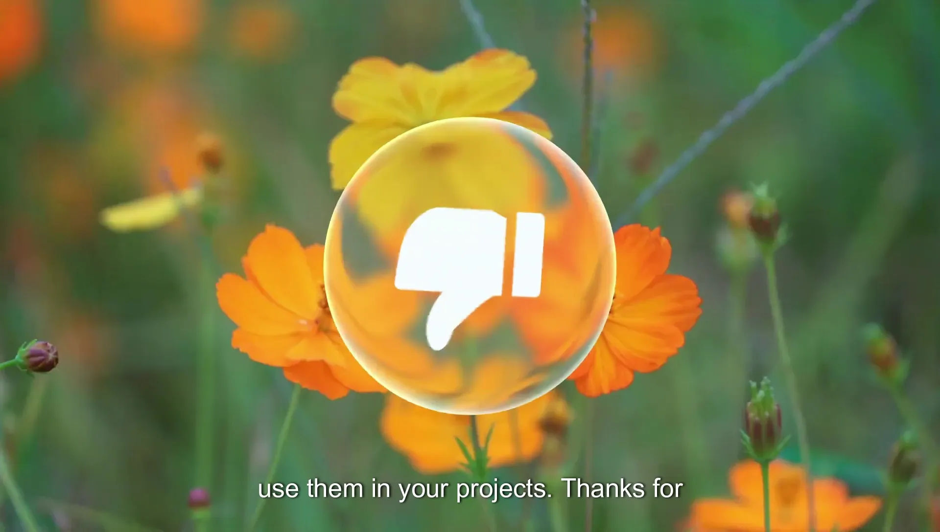 12 How to Create Apple Liquid Glass UI in After Effects + 13 Free Animations! - Image 744