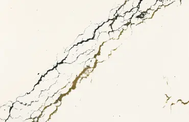 Oakleigh-Pacific-Granite-Slab-Catalog