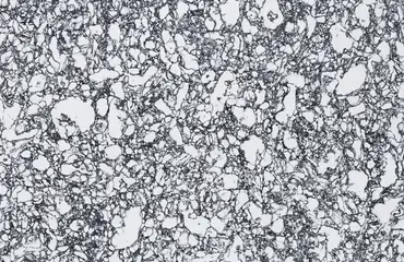 Rose Bay-Pacific-Granite-Slab-Catalog