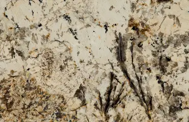 Caravelas Gold Granite-Pacific-Granite-Slab-Catalog