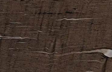 Cygnus Granite-Pacific-Granite-Slab-Catalog