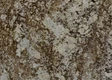 Desert Beach Granite