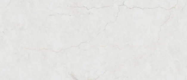 Calacatta Miraggio Cove Honed®