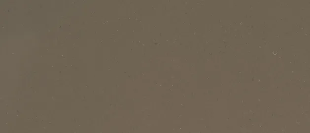 Fossil Brown®
