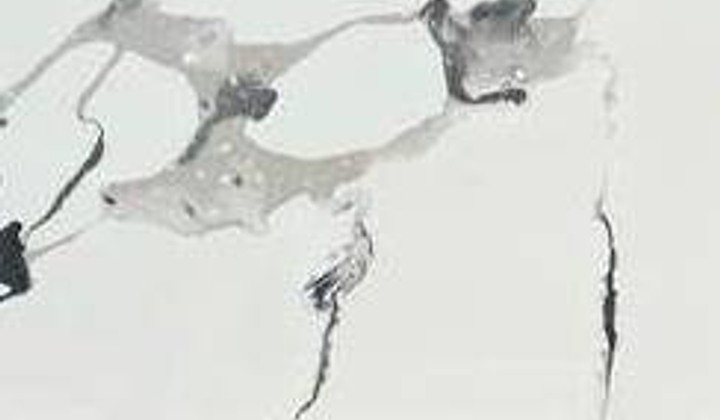 Calacatta Antique CQ-Pacific-Granite-Slab-Catalog-Image