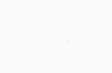 Gold Carrara-Pacific-Granite-Slab-Catalog