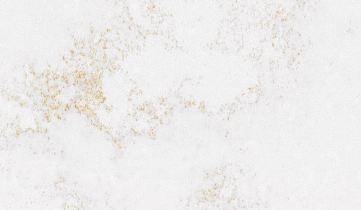 Nova Gold™-Pacific-Granite-Slab-Catalog-Image