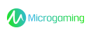 Micro Gaming Slot