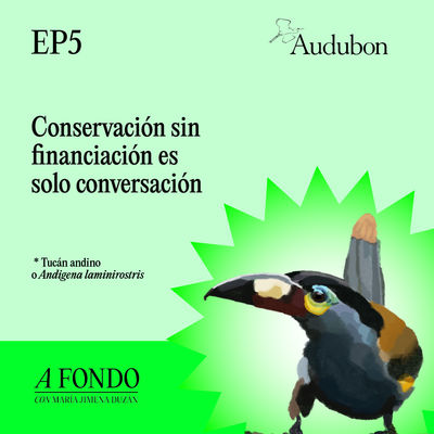 El Fantástico Poder de las Aves: EP 5: Conservación sin financiación es solo conversación