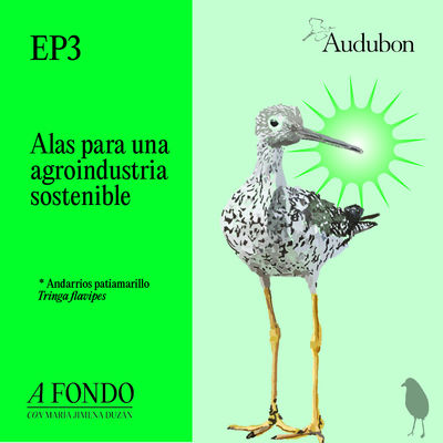El Fantástico Poder de las Aves: EP 3: Alas para una agroindustria sostenible.