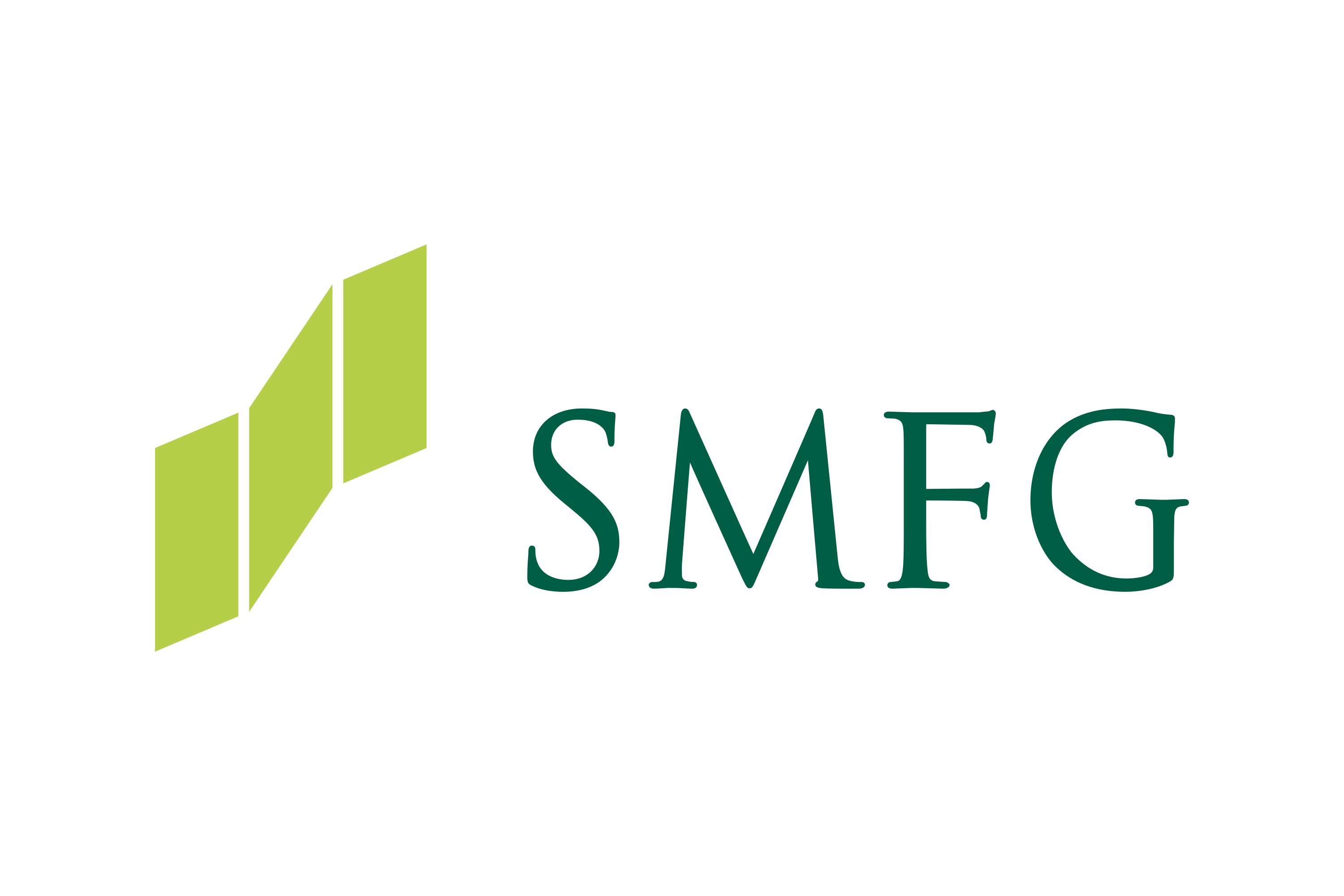 Partner Logo