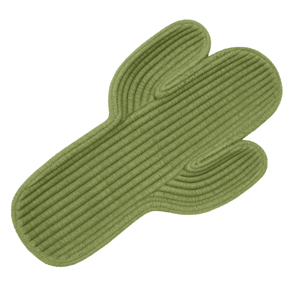 vide poche en résine cactus