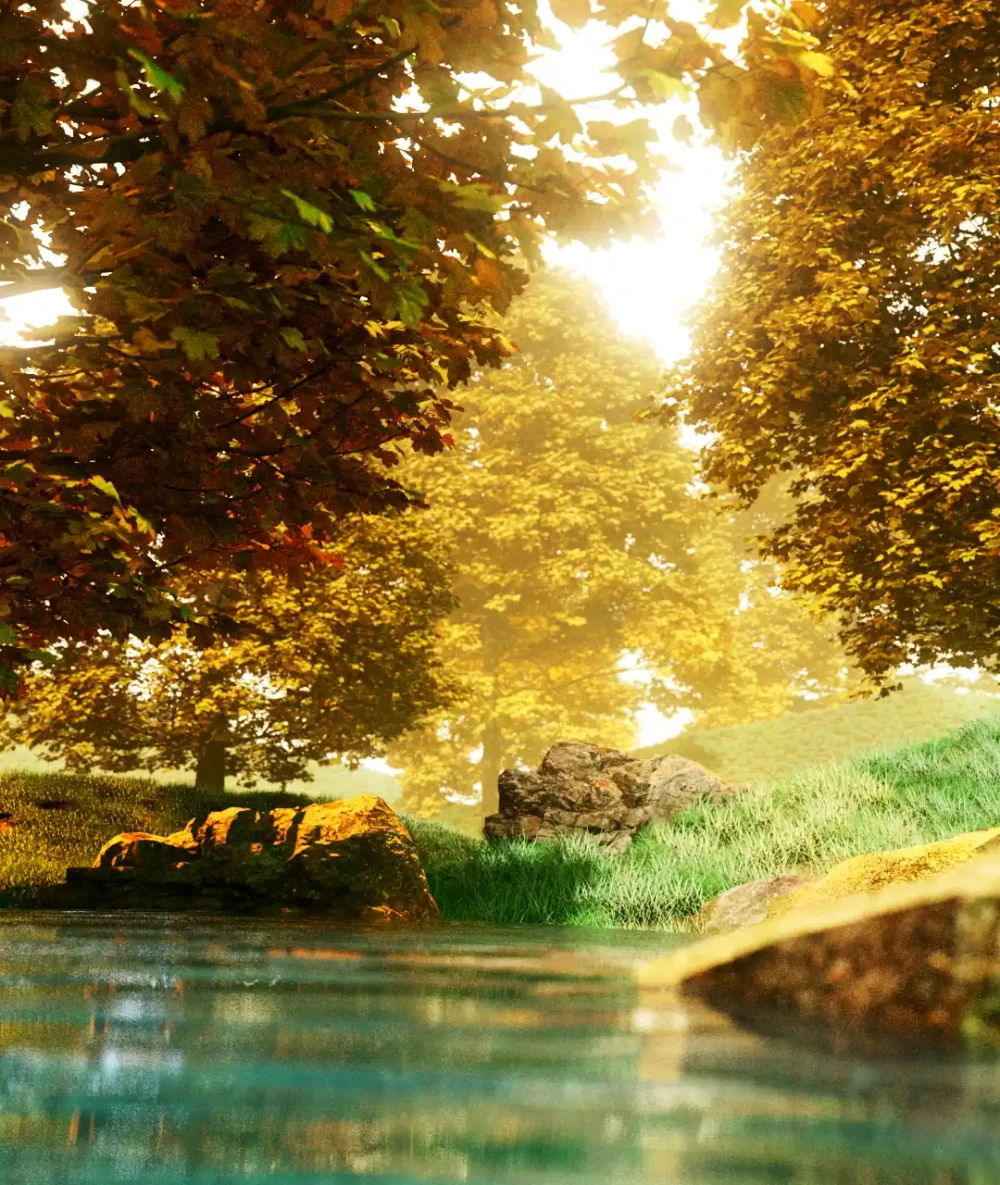 nature_4