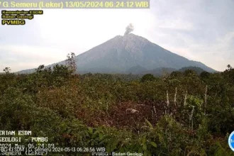 Gunung Semeru Erupsi 5 Kali Pagi Ini Senin 13 Mei 2024 169