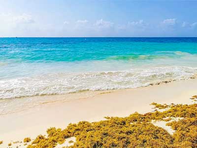 Playa Mujeres