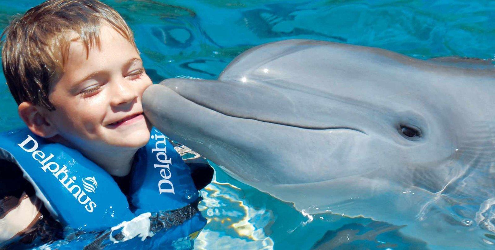 Aquarium Interactive