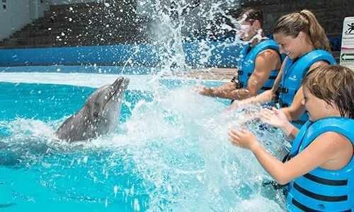 Aquarium Interactive