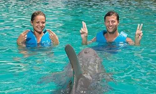 Aquarium Interactive