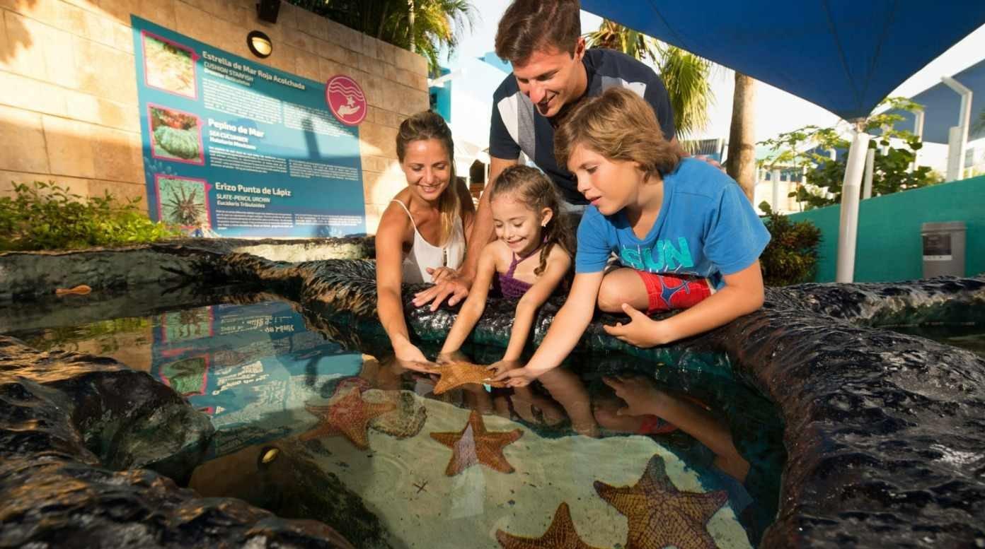 Aquarium Trek