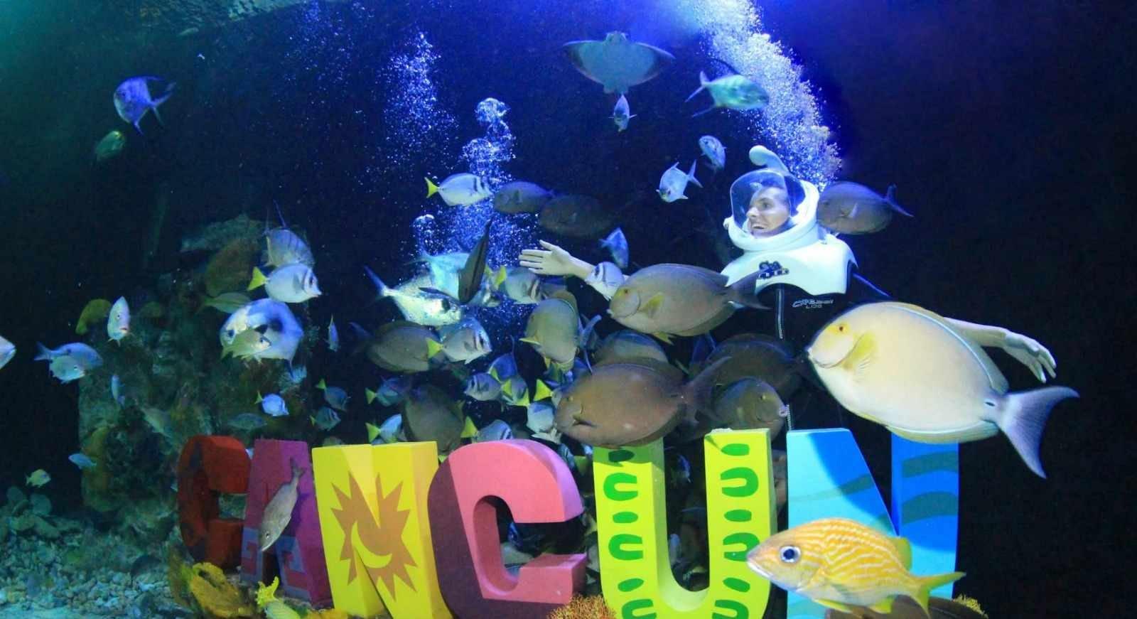 Aquarium Trek