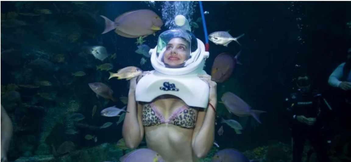Aquarium Trek