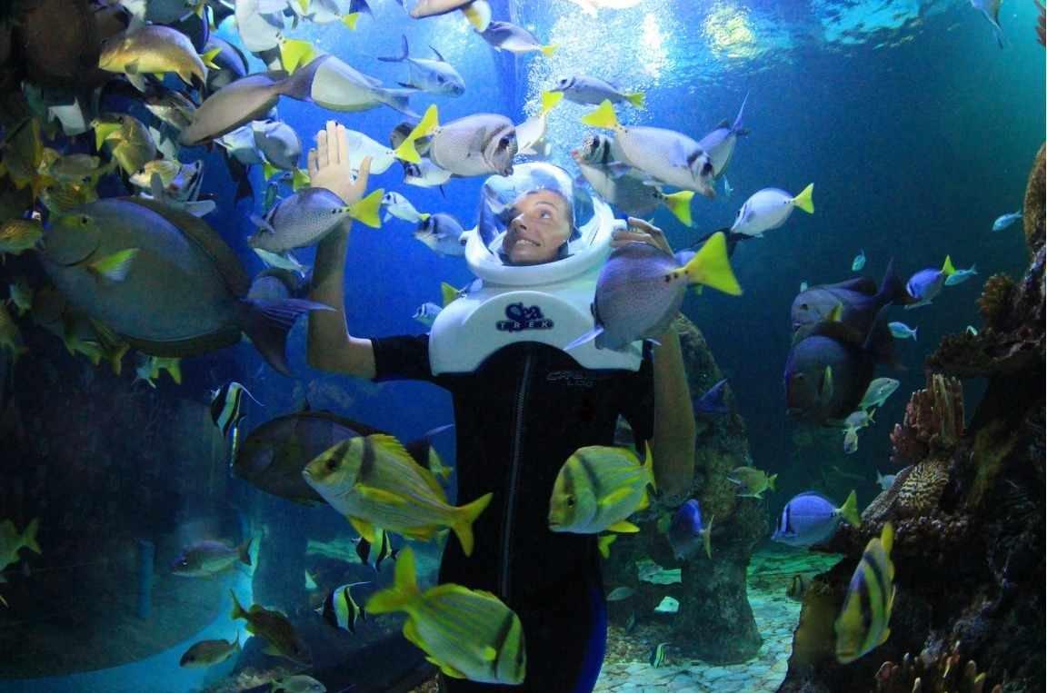 Aquarium Trek