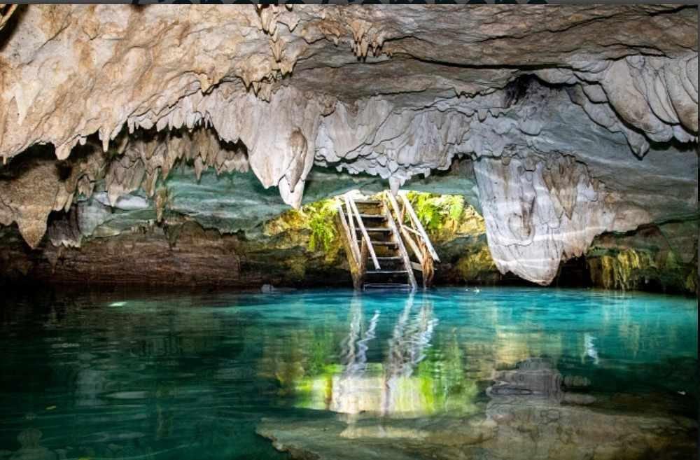 Cenotes Casa Tortuga Con Transporte.