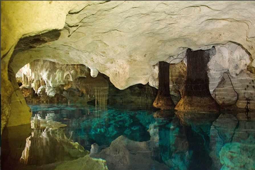 Cenotes Casa Tortuga Con Transporte.