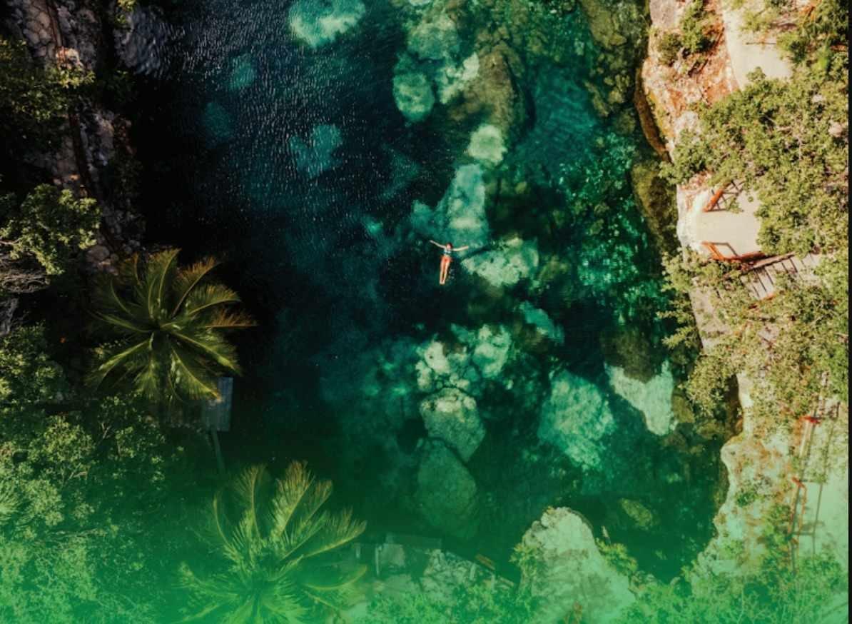 Cenotes Casa Tortuga Con Transporte.