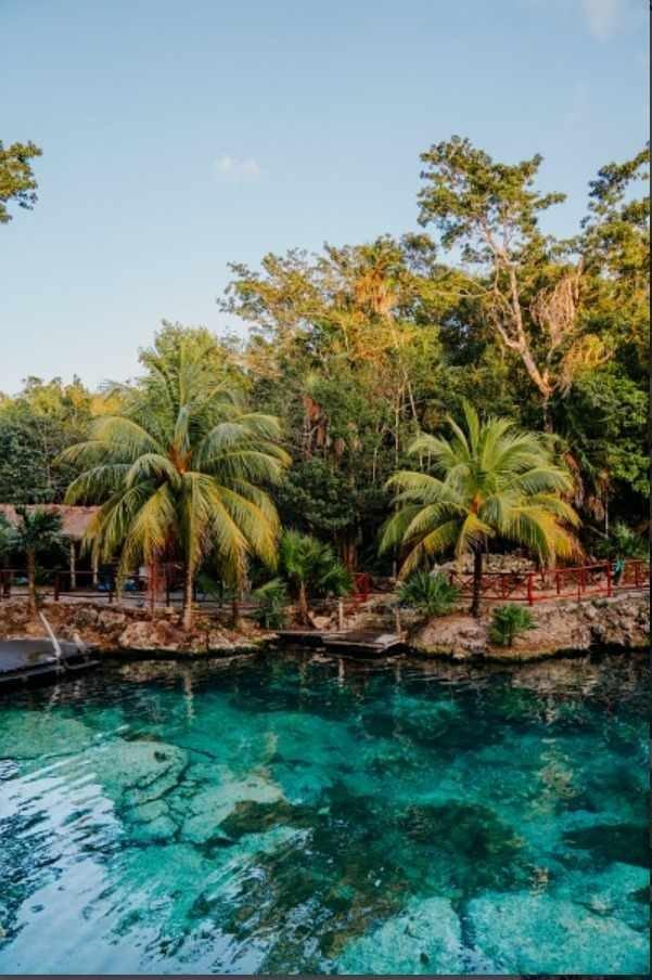 Cenotes Casa Tortuga Con Transporte.