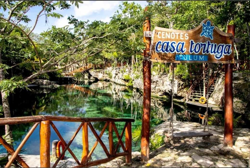 Cenotes Casa Tortuga Con Transporte.