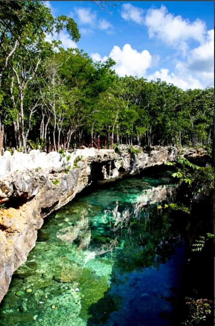 Cenotes Casa Tortuga Con Transporte.