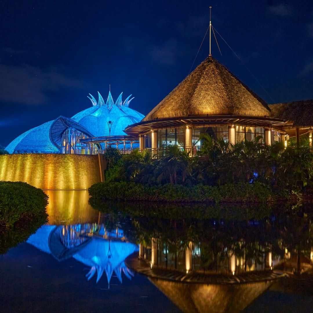 Cirque Du Soleil Joya