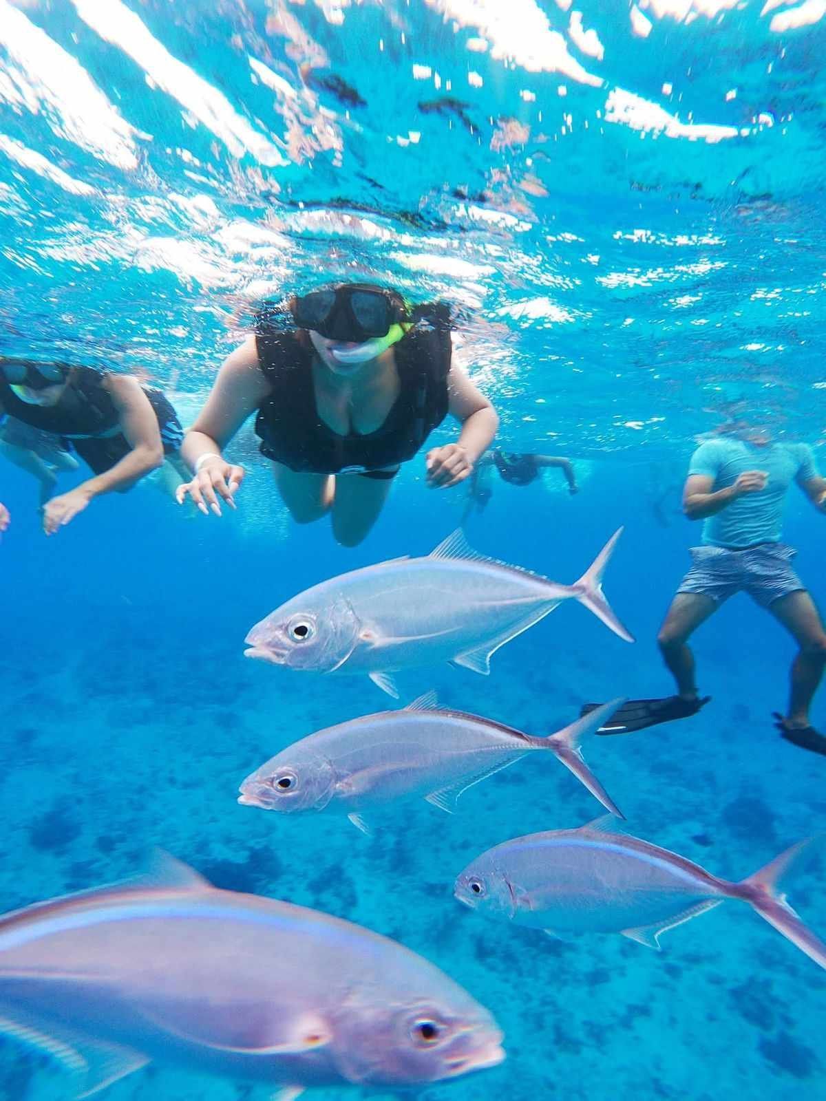Cozumel Cielo Mt