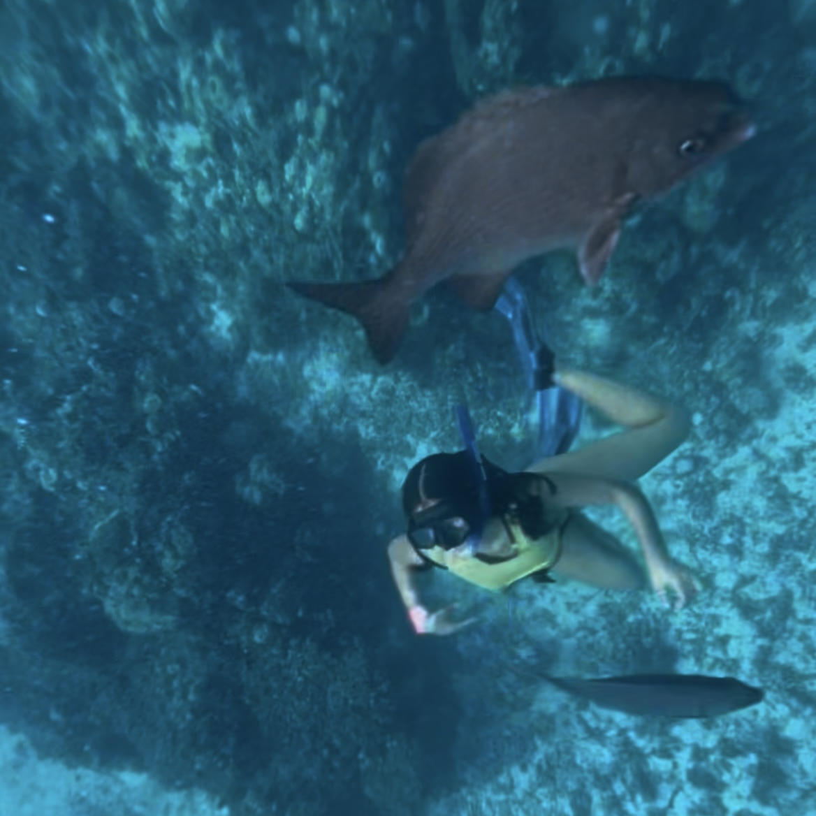 Cozumel El Cielo Catamaran P/T