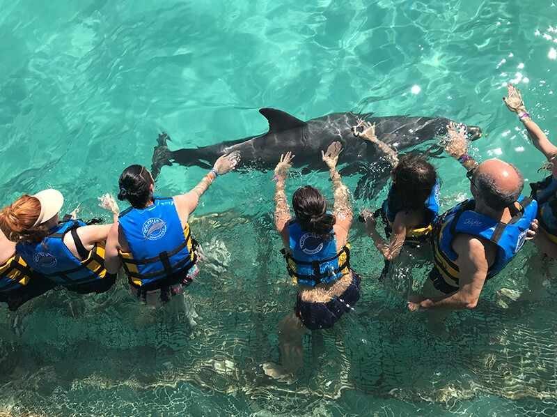 Dolphin Discovery Isla Mujeres