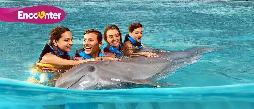 Dolphin Discovery Isla Mujeres