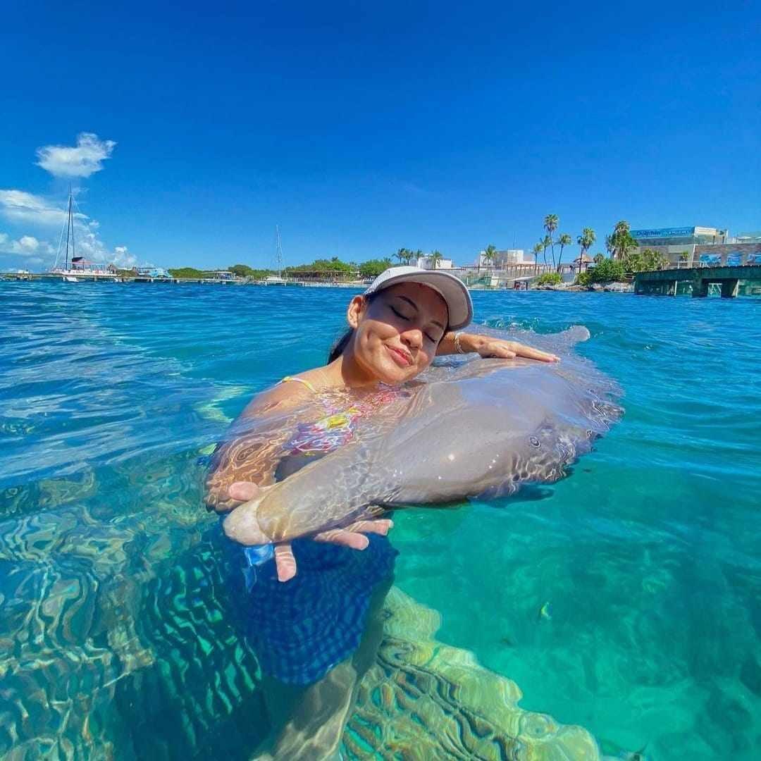 Dolphin Discovery Isla Mujeres