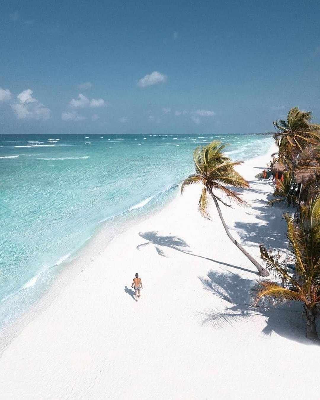 Isla Contoy Gt