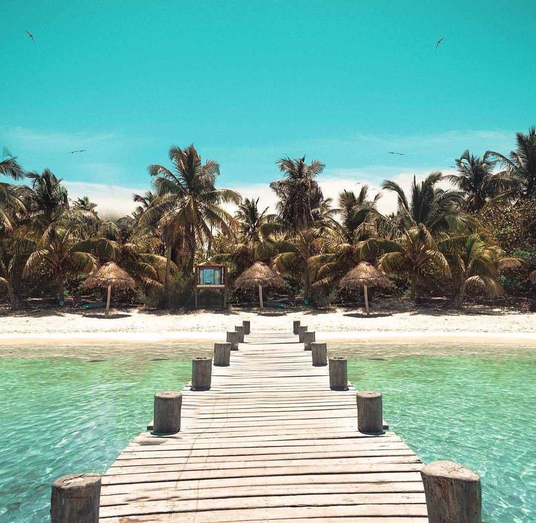 Isla Contoy Gt