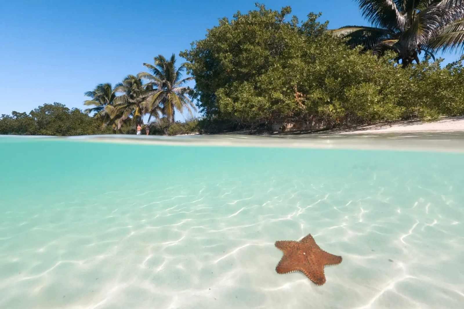Isla Contoy St - 