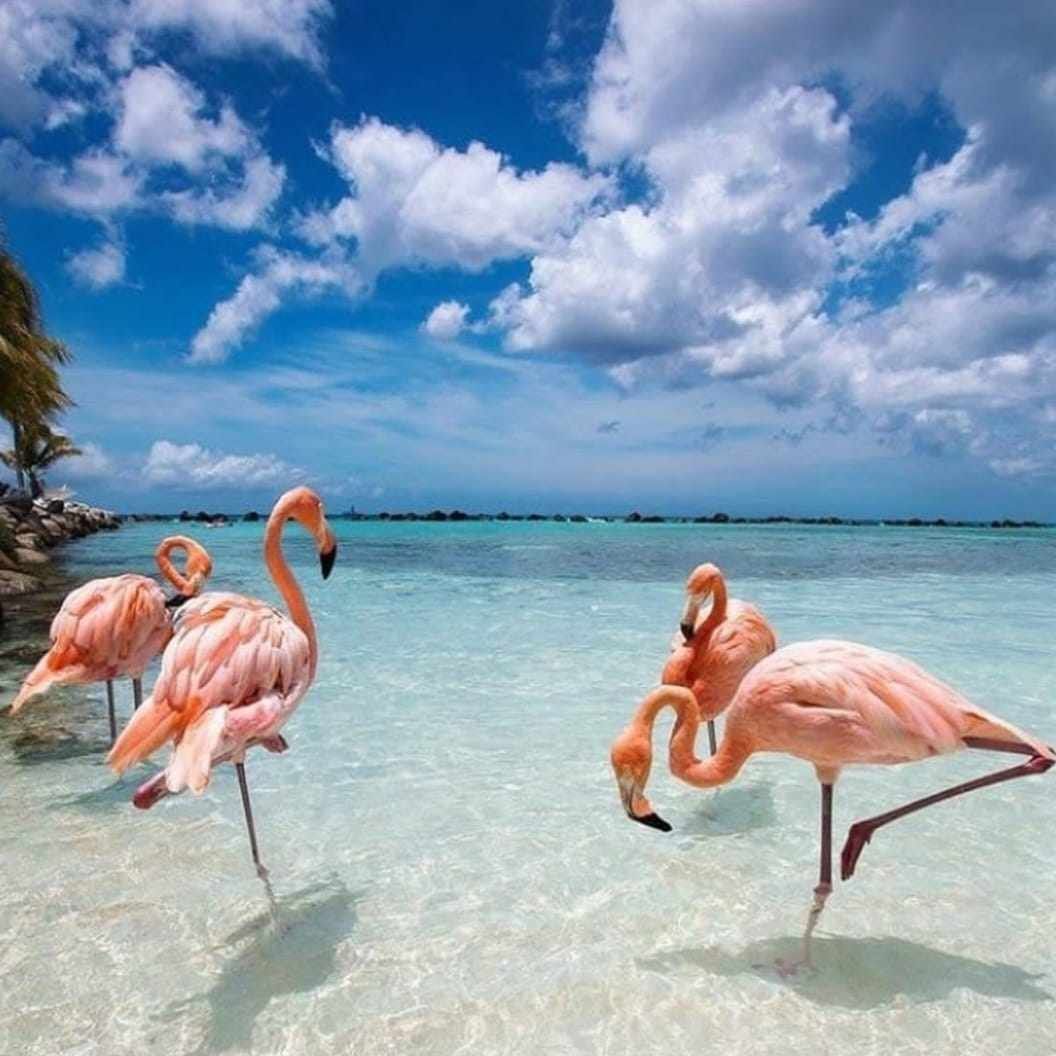 Las Coloradas St