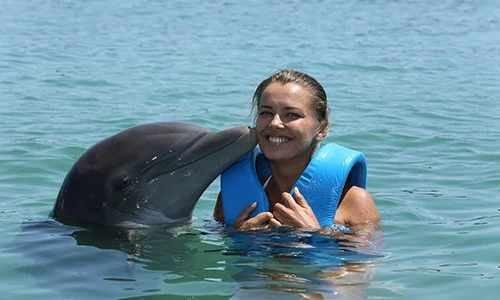 Nado Con Delfines Delphi